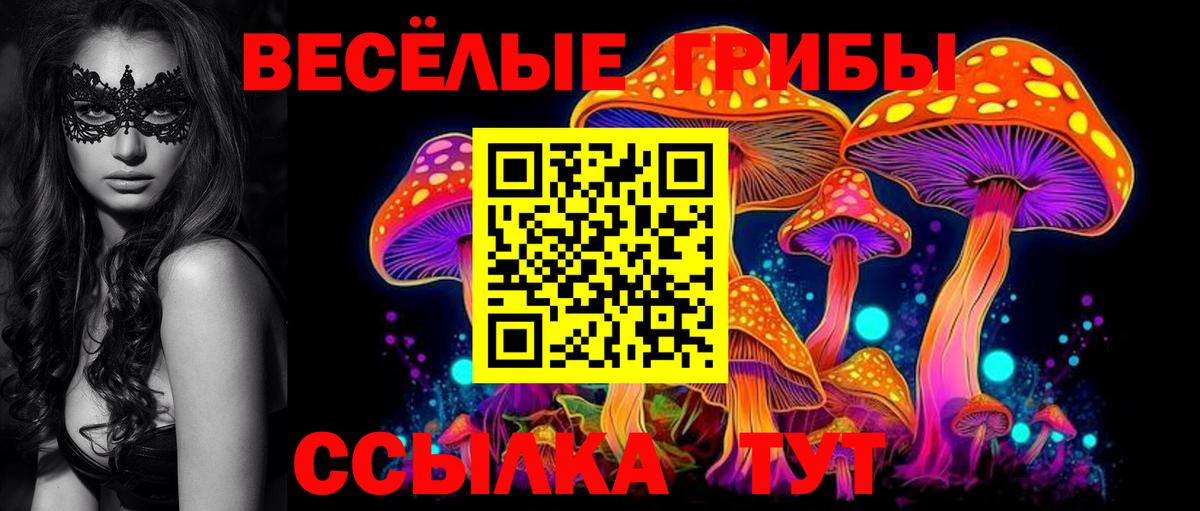 Псилоцибиновые грибы мухоморы Нурлат